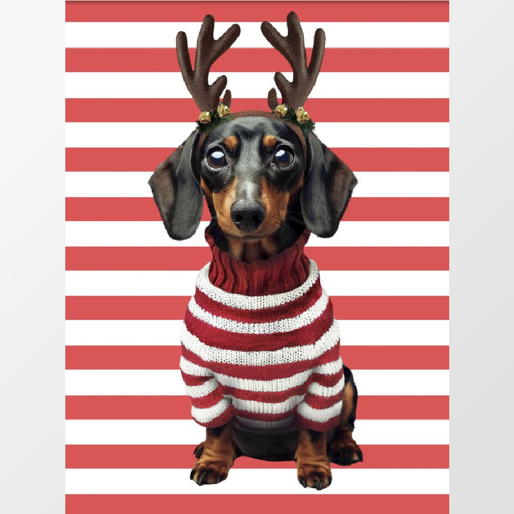 Pyjama met feestelijk, geklede teckel van Snurk