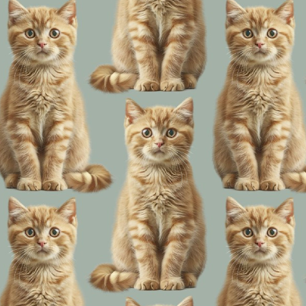 Detail van de pyjama Bowie met roodharige kat van Snurk